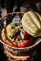 Wire basket with decorative squashes 