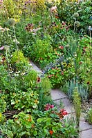 Paved path through herb beds