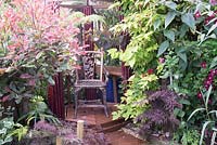 Pergola in small urban garden full of exotics. Planting includes: Photinia x fraseri 'Red Robin', Acer palmatum, Leycesteria Formosa, Clematis and Buddleja