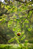Heart-shaped metal hanging bird feeder for apples or fat balls