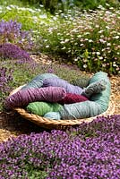 Bundles of acid dyed wool in a basket surrounded by Creeping Thyme - Thymus serpyllum and Erigeron karvinskiansus