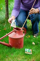 Mixing Nemasys Grow Your Own nematodes in a watering can ready to water onto apple tree trunk as a pest control
