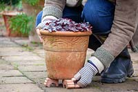 Lifting pots using terracotta feet to prevent them being broken by frost