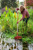 Removing pond weed from a stream using a rake