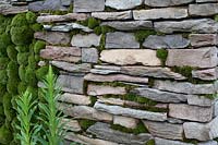 Detail of dry stone wall and moss mounds in the 'Elements of Sheffield' garden at the RHS Chatsworth Flower Show 2019.