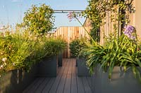 Roof garden with large containers planted with Gaura lindheimeri 'Whirling Butterflies', Pennisetum alopecuroides 'Hameln', Chinese fountain grassm, Myrtus communis subsp. tarentina, Trachelospermum jasminoides and Agapanthus