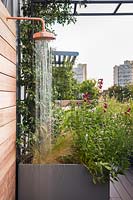 Roof garden with copper outdoor shower surrounded by Trachelospermum jasminoides and Penstemon 'Raven' AGM in containers.