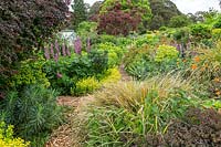 View across a herbaceous perennial beds to a stand of mature trees