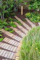 Groundcover plants: Polystichum polyblepharum, Blechnum spicant, Soleirolia soleirolii and Hakonechloa macra 'Aureola'  along curved path of bark and sliced logs in Believe in Tomorrow Garden - RHS Hampton Court  Palace Garden Festival 2019 