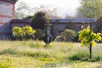 Eleagnus 'Quicksilver' and Wisteria floribunda 'Alba' in the Sundial Garden in May at Heale Garden, Wiltshire, UK. 
