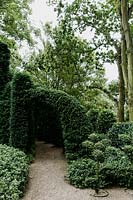 Beginning of archway clipped of Taxus baccata. Les Jardins d Etretat, Normandy, France