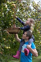 Annie Loader - a family apple picking, late September
