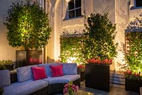 Enclosed outdoor seating area with lights emphasising container planting of Camellia and Trachelospermum jasmonoides in large containers 