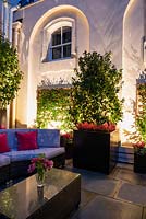 Lighting by container plantings against a house wall, part of outdoor seating area. Shrubs include Camellia and Trachelospermum jasmonoides in large black containers.