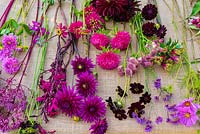Flower stems ready to be arranged in shades of cerise, magenta and dark red including: Dahlia, Aster, Chocolate Cosmos, Astrantia and Zinnia 