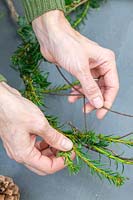 Woman adding branches of Yew to the thin metal wire wreath