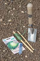 Handtrowel, string, seeds and label ready for sowing Endive in prepared seedbed