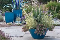Turquoise containers on patio in country garden setting. Deer-resistant plantings include: variegated Lavandula 'Meerlo',  Dianella 'Clarity Blue' and Oreganum 'Amethyst Falls'. Companion containers with glass sculpture and fountain.