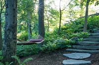 A hammock swings over an expansive sweep of Matteuccia struthiopteris. Wide, stone slab steps form a path down the shady hillside.