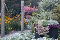 A contemporary black container garden set within the landscape. Path and rustic arbor to one side. Deer-resistant, drought tolerant design with sun-loving trees, shrubs, perennials, ornamental grasses, annuals and bulbs