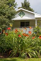 A barn quilt featuring stylized hosta leaves decorates homes facade. Hemerocallis featured in border in foreground