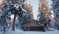 Rustic, weathered barn in snowy landscape, surrounded by towering conifers