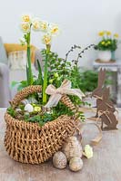 Woven basket planted with Narcissus 'Bridal Crown', Ferns and small nest with eggs and Primula flowers