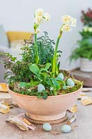 Floral arrangement on a table, a bowl with Narcissus 'Bridal Crown', Ferns, white Viola, dressed with bark eggs 