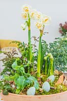 Floral arrangement in bowl, Narcissus 'Bridal Crown', Ferns, white Viola and dressed with bark and eggs 