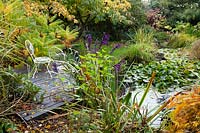 Decking over the pond surrounded by lush planting at Windy Ridge, Shropshire, UK