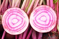 Beta vulgaris  'Chioggia'  - Beetroot, freshly-lifted root cut in half to show rings