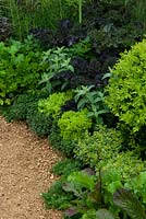 Mixed border of herbs and salad leaves, including Rosemary, Sage, Mint, Parsley and Thyme alongside gravel path - RHS Malvern Spring Festival
