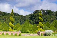 Yew spirals and the 'pyramid forest' - Taxus baccata at the top of the lawn, echoed by miniature pyramids and balls of box - Buxus sempervirens in front of the wall.
