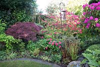 Front border in Spring at Brooke Cottage with shrubs trees and perennials including Rhododendrons, Azaleas, Acer palmatum and ferns