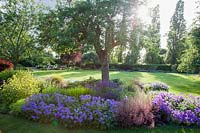 Summer bed with Geranium magnificum 'Rosemoor', Salvia, Heuchera 'Villosa Brownies', Alchemilla mollis with lawn 