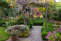 Cottage garden with Wisteria clad pergola over a brick path and Buxus edged borders 
