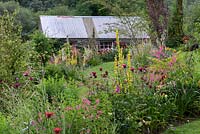 Cottage garden with stone outbuilding viewed over island beds planted with Verbascum, Monarda, Diascia personata and ornamental grasses