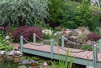 A bridge crosses pond fed by a waterfall, passing a Japanese maple and weeping pear, Pyrus salicifolia 'Pendula'.