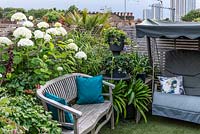 Seating area on roof terrace with mixed planting. 
