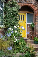A front garden is planted with blue agapanthus, and white roses. Star jasmine climbs the wall near the front door.