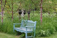 A bench partly rests in unmown grass and cow parsley, in a small grove of birch trees. Behind, owl statues are raised high on posts.