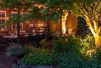 A covered dining area lit at night with strings of bulbs and candles. Uplighters illuminate the trunks of an Acer palmatum 