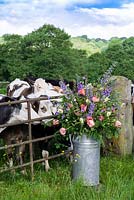A milk churn filled with flowers grown at Pam Moseley's flower farm, Quirky Flowers