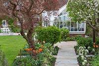 A small formal kitchen garden with Malus domestica 'Falstaff' - Apple - in blossom, trained along a stepover cordon in a mixed bed with Tulipa - Tulip, view along paved path to greenhouse