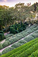 View over terraced pathways and sculpted Box and Eleagnus hedges to a group of shaped yew columns and arches. 