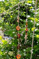 Dried fruit and nuts on string in wildlife friendly garden - Springwatch Garden - Hampton Court Flower Show 2019