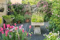 Antique stone sink on stadle stone supports in courtyard. Herbs and alpines. Rosa 'Constance Spry',  Clematis montana 'Broughton Star'.