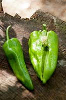 Harvested peppers - Capsicum annum 'Corno di Torogiallo'
