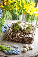 Decorative Easter arrangement using Muscari, quail eggs and moss in a basket made with rope and bark. 