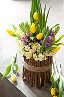 Cut stems of flowering bulbs held together by twigs and string, flowers include: Narccissus - Daffodil, Tulipa - Tulip, Hyacinthus - Hyacinth 
